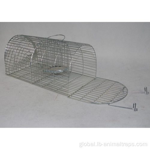 Small Animal Trap Cage Heavy Duty Live Multi Catch Rat Trap Cage Manufactory